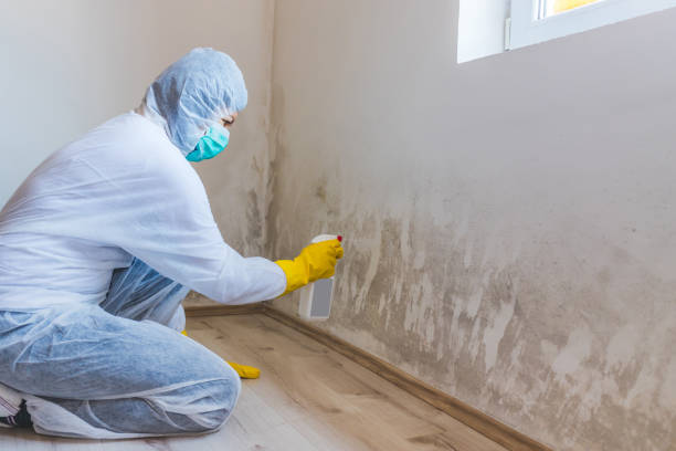 Bathroom Mold Removal assessment in Columbia bathroom