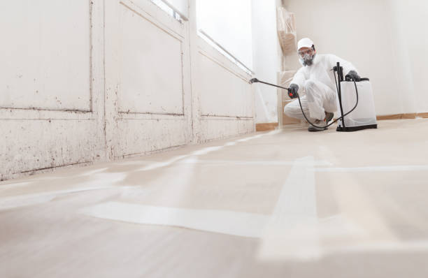 Post-remediation clearance in Columbia
